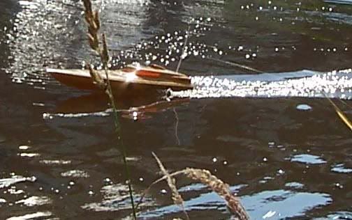 speedboot2.jpg