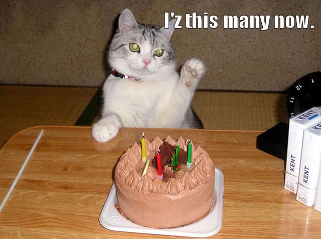 BirthdayCat2.jpg