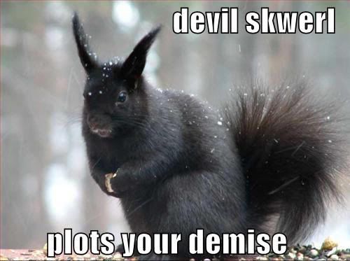 DevilSquirrel.jpg