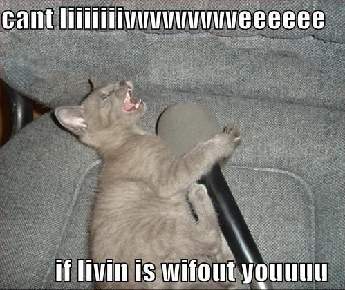 KaraokeCat.jpg