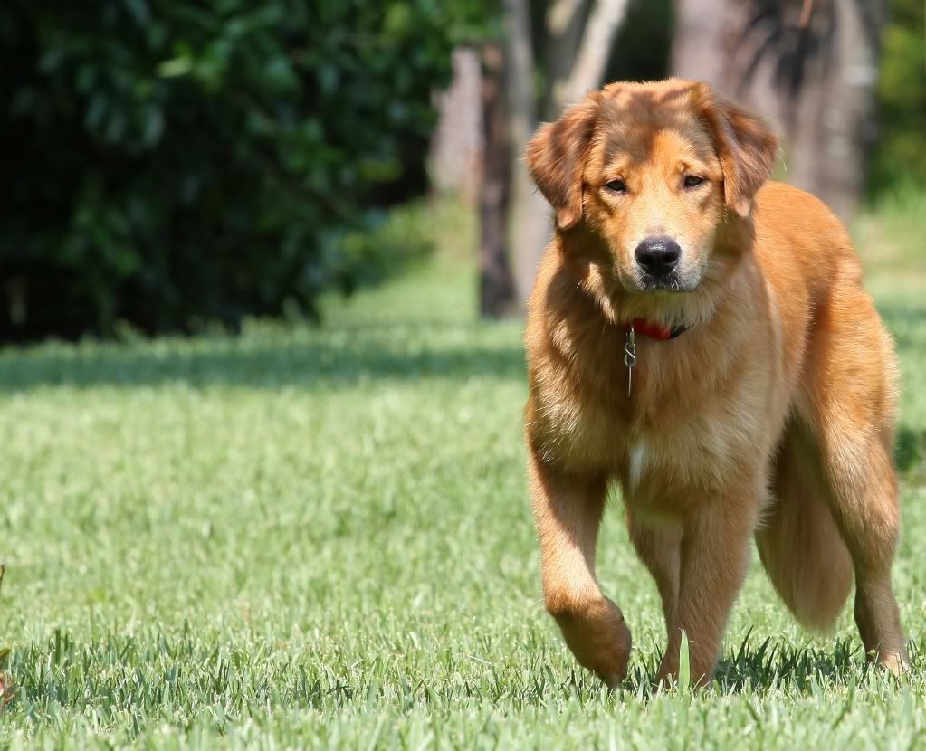 IMAGE: http://i300.photobucket.com/albums/nn37/kf4pbm/2010478mod.jpg