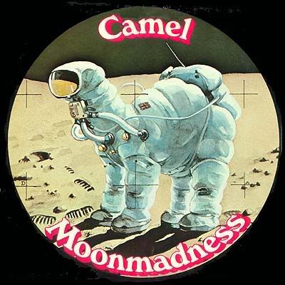CamelMoonmadness.jpg