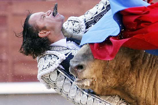 Bullfighter.jpg