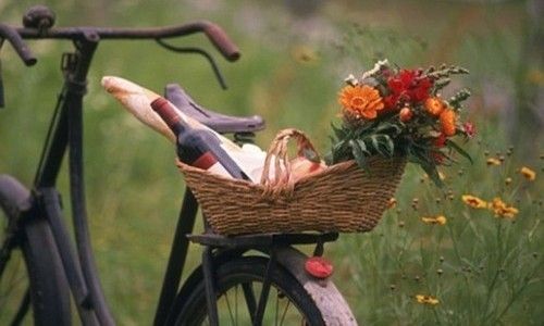 Picnic/bicycle  500x300 photo image_2_1.jpeg