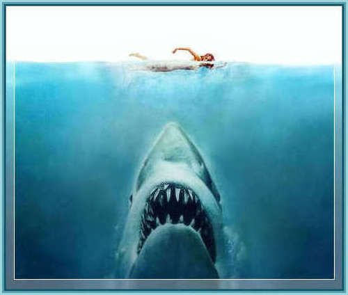 Beware: Jaws 424bbt photo image_25.jpeg