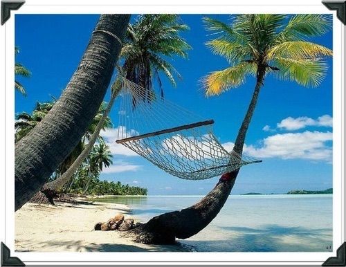 Hammock:500 photo imagejpg1-15-1.jpg