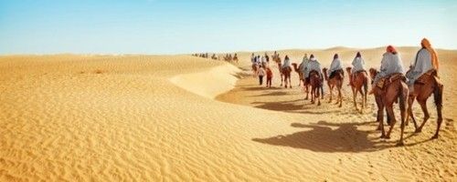 Coffee Caravan 200 photo image_17.jpeg