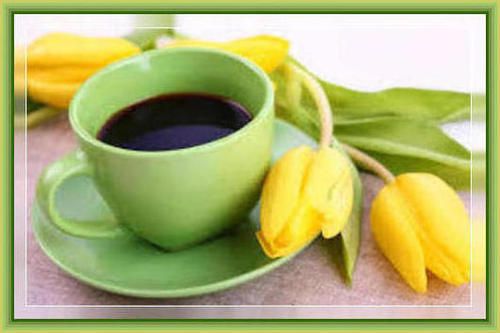 Coffee/Tulips 333bbt photo image_38.jpeg