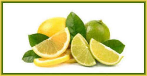 Lemons/Limes 260bt photo image_38.jpeg