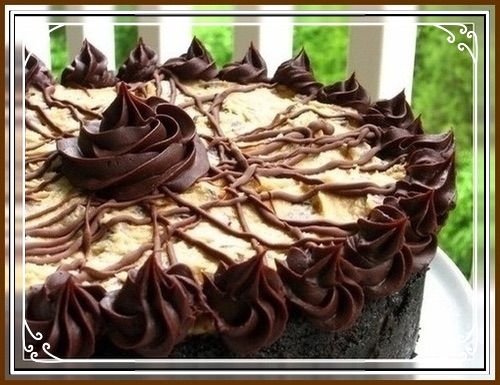 Cappuccino-fudge Cake 385 photo image.jpg2_12.jpg