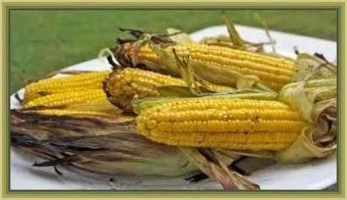Grilled Corn 289bt photo image_121.jpeg