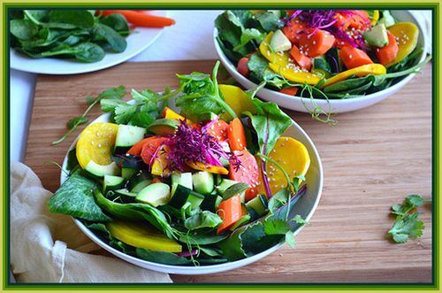 Salads 336bt photo image_71.jpeg
