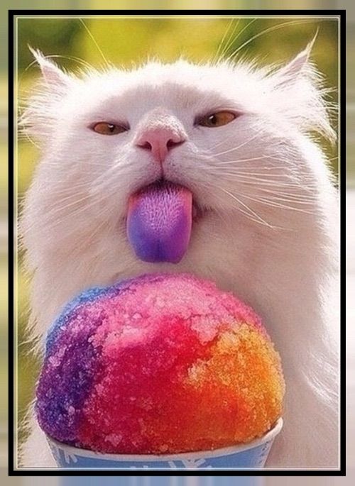 Sno-Cone 685bbn photo image_18.jpeg