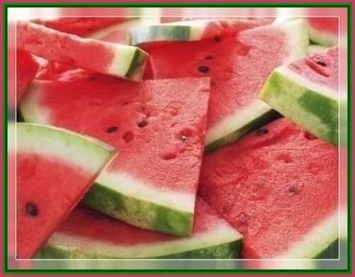 Melon Slices 390bbt photo image_91.jpeg