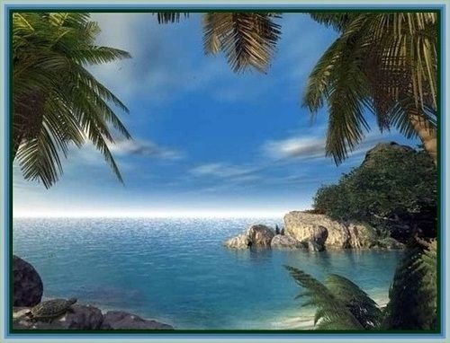 Jamaican Morning 382bt photo image_24.jpeg