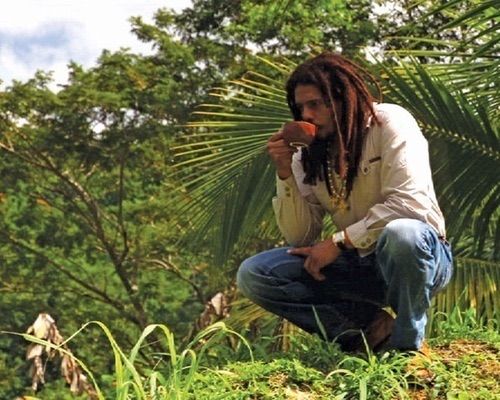 Rohan/Coffee photo imagejpg1-21.jpg