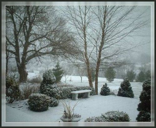 Backyard 500x409bbt photo image_12.jpeg