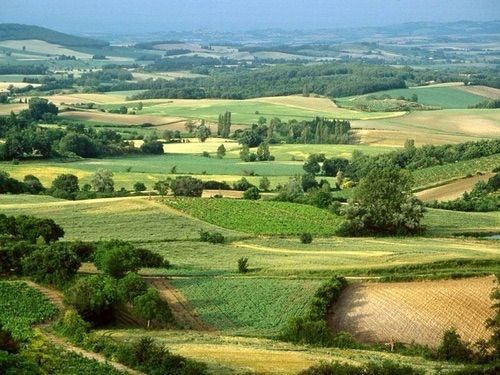 French Countryside 375 photo image.jpg1_9.jpg