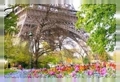 Eiffel Tower/Flowers 343bb photo image.jpg2.jpg