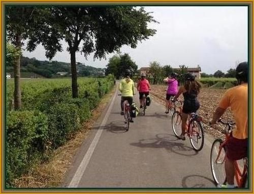 Verona/Biking 381bt photo image_14.jpeg