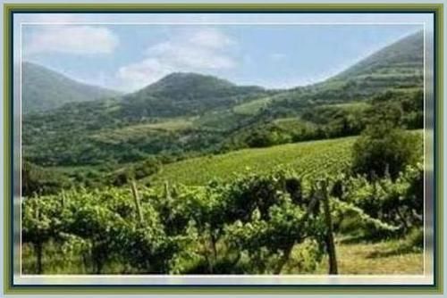 Verona Countryside 334bbt photo image_18.jpeg