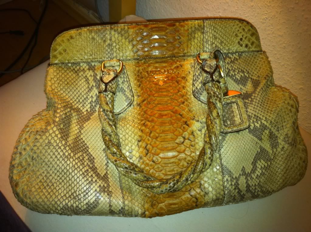 PRADA Python Leather Handbag Started to Turn Color and dries up ...  