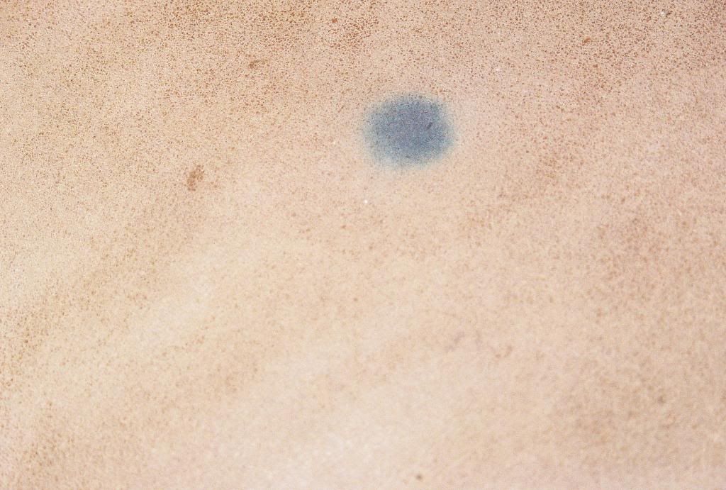 Aniline (Sauvage) How to Restore an Aniline Leather Sofa of Cat Urine