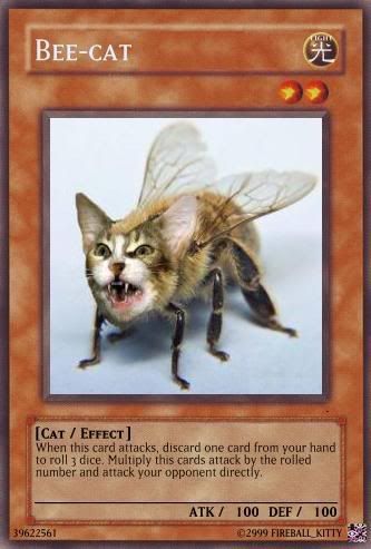 bee-cat.jpg