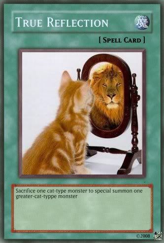 catlion.jpg
