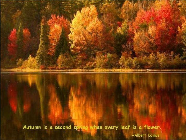 Image result for autumn equinox pictures