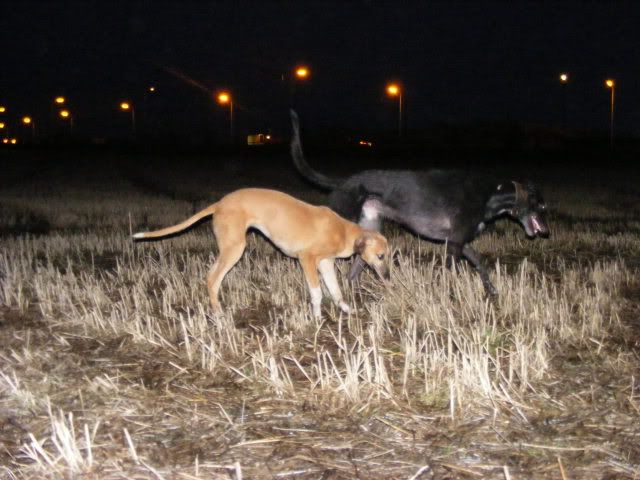DSCF1007.jpg