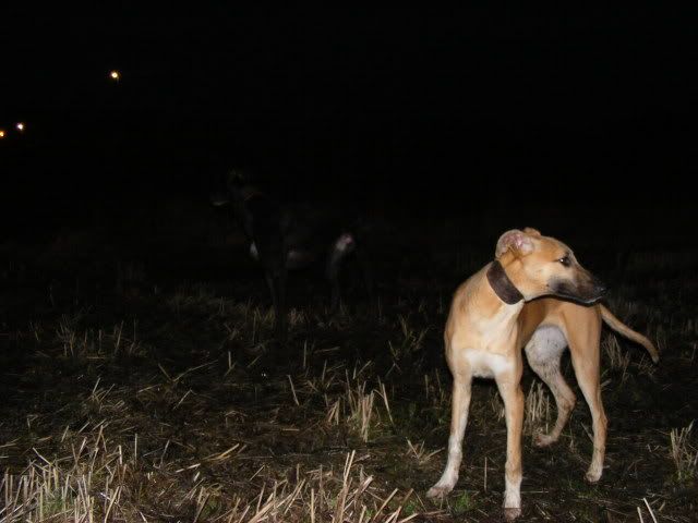 DSCF1009.jpg