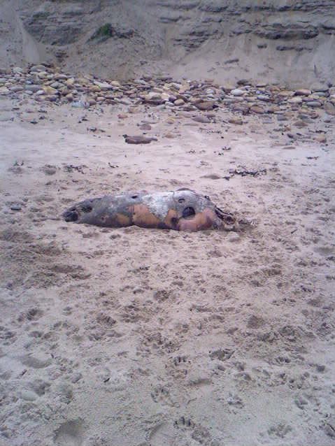 Photo-0213.jpg