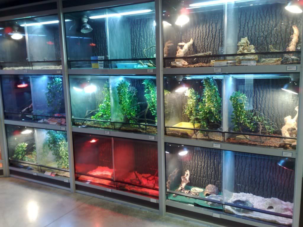 pet world athlone