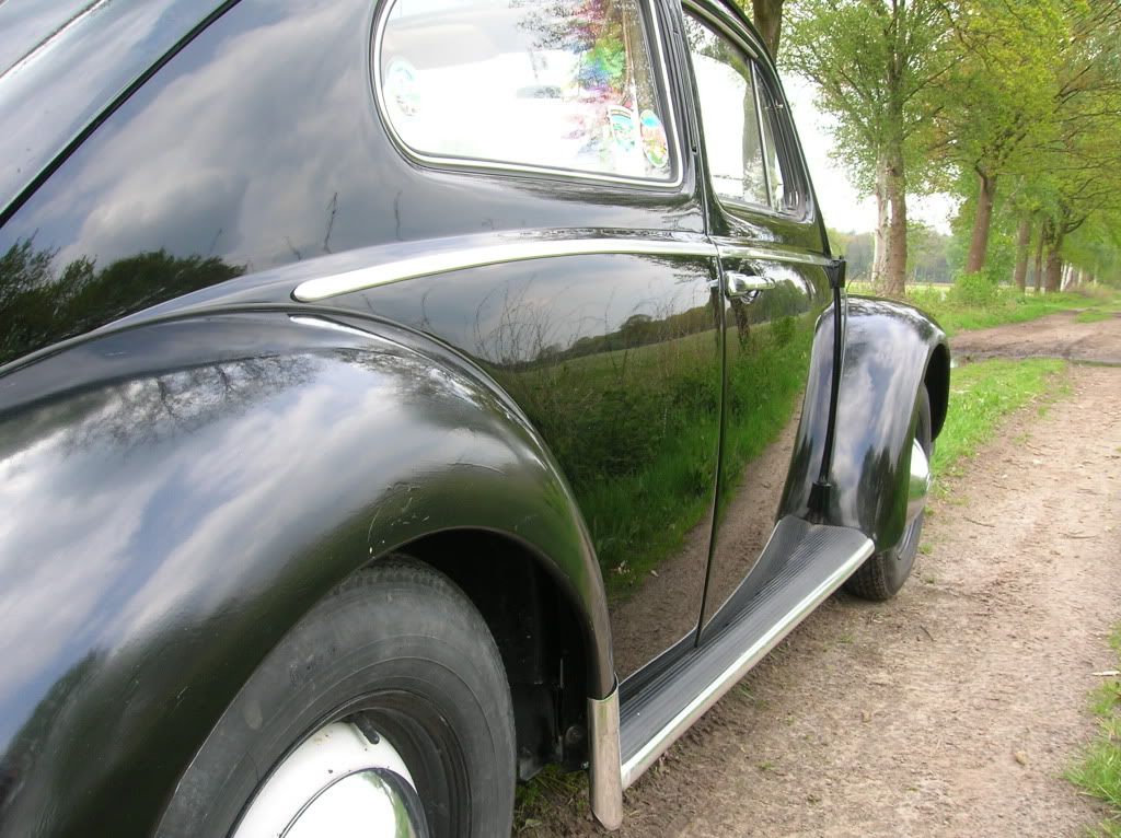 DSCN7003.jpg