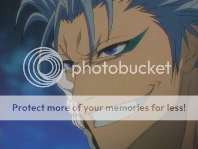 http://i300.photobucket.com/albums/nn10/playstep17/bleach/grimmjow_02.jpg