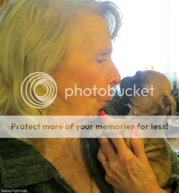 Gram and puppy