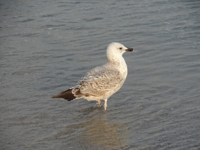 photo file-479.jpg