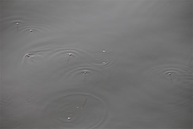 photo file_zps566250bc.jpg
