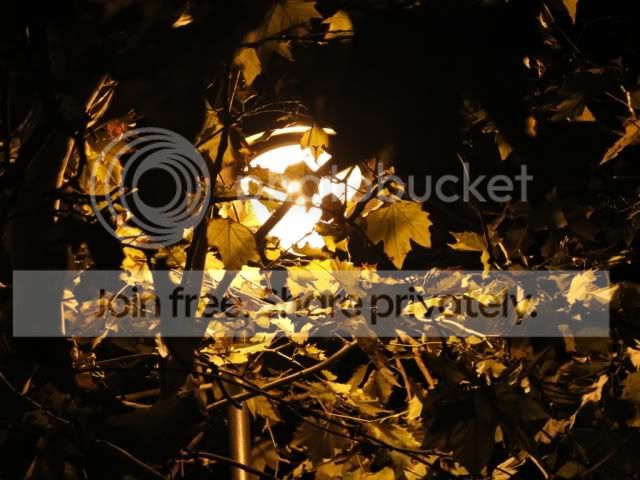  photo file_zps5d0098eb.jpg