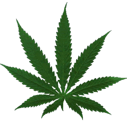 WEED LEAF gif by jays_stoney_shit | Photobucket