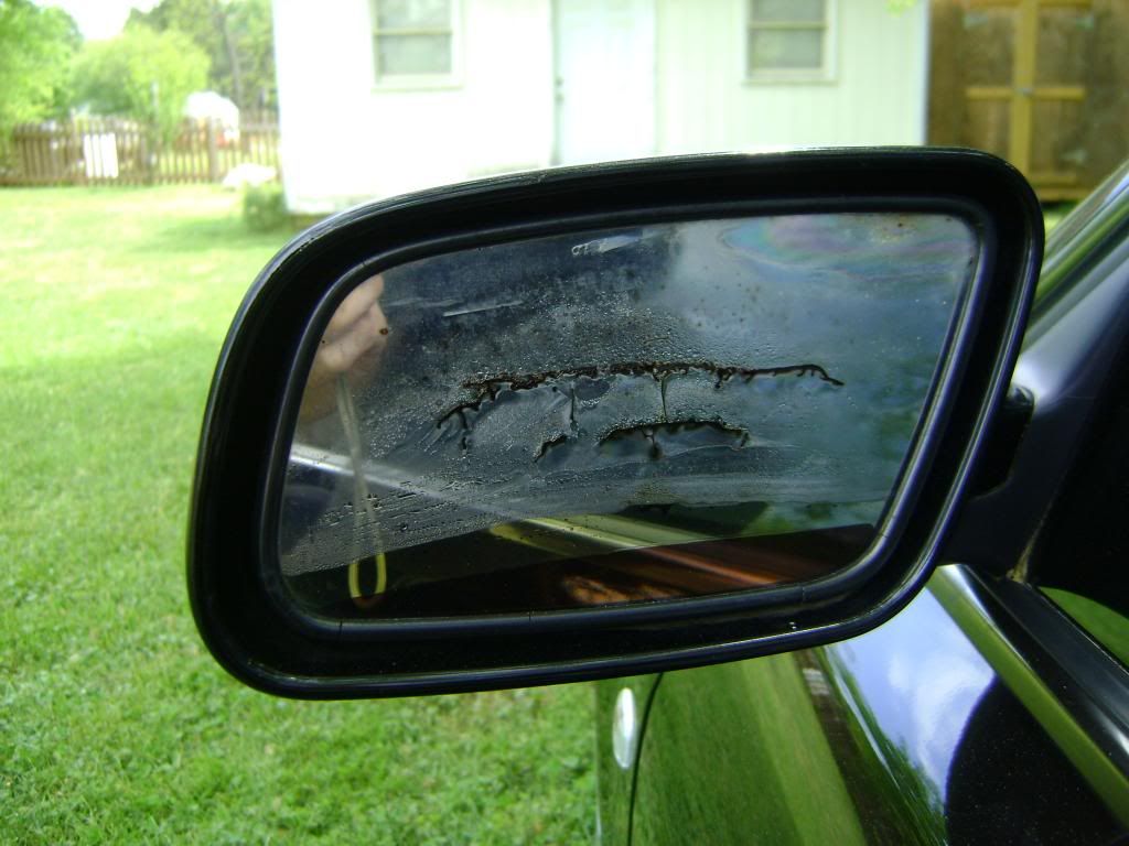 Side Mirror Repair >> Audizine Forums Side Mirror Repair >> Audizine Forums