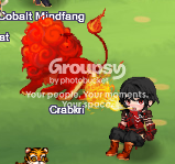 User Image