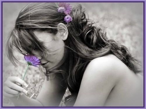 1stScent-375bt photo Purple Flower 375bt.jpg